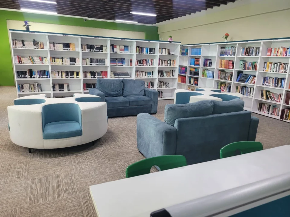 Learners using the LIS Karen library